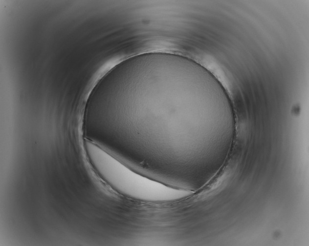 X0000102510954200808221814