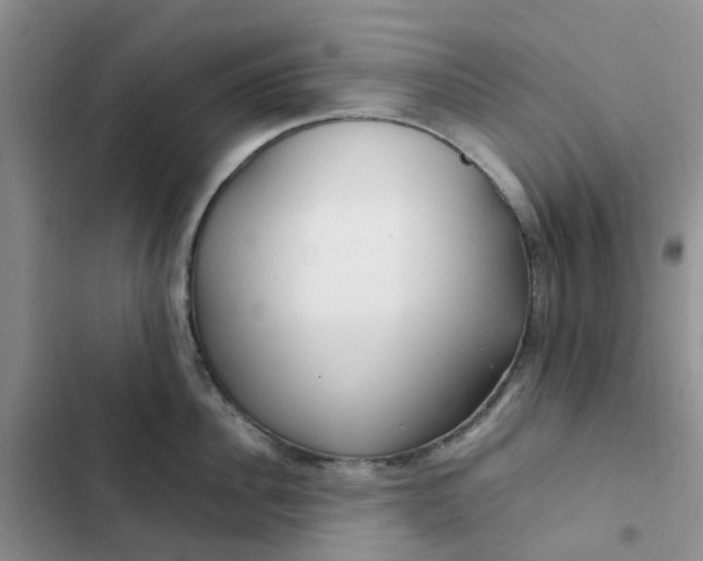 X0000102510956200808221814