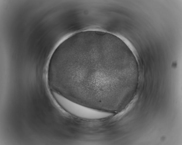 X0000102510957200808221814