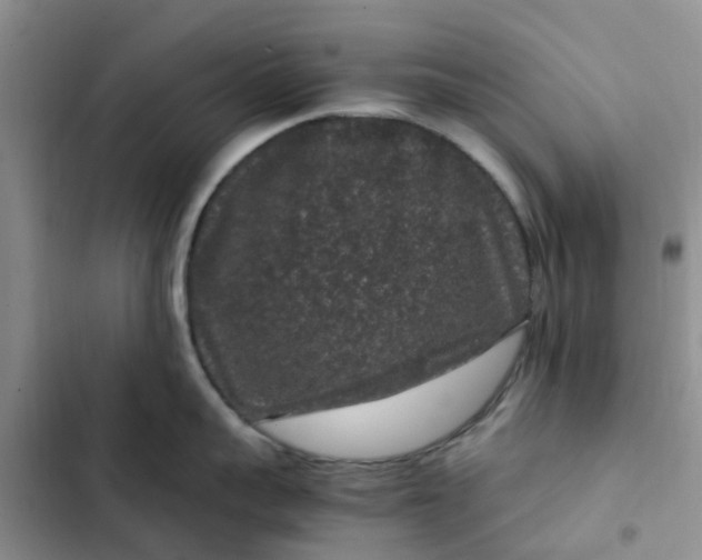 X0000102510959200808221814