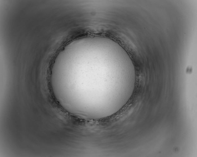 X0000102510961200808221814