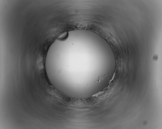 X0000102510962200808221814