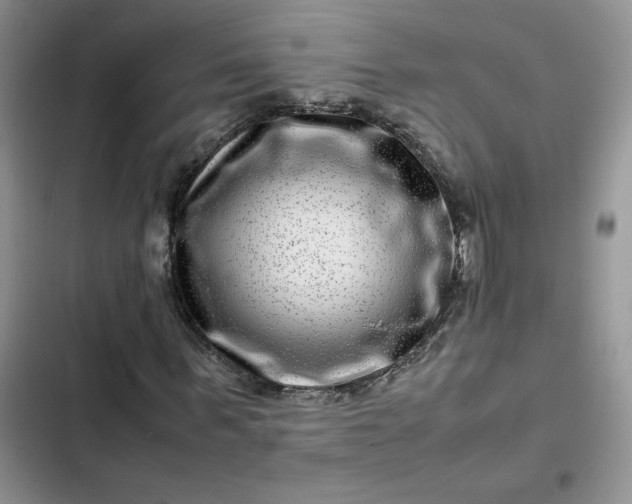X0000102510963200808221814