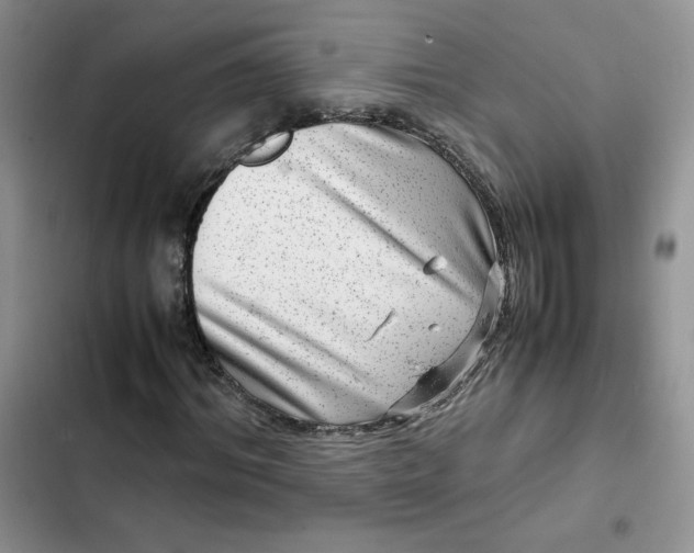 X0000102510964200808221814