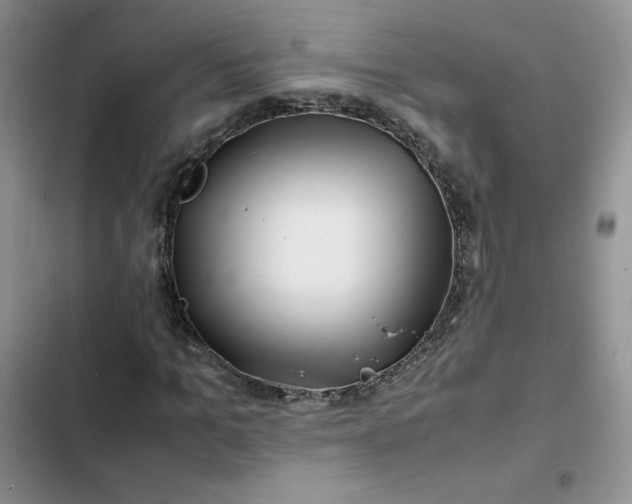 X0000102510965200808221814