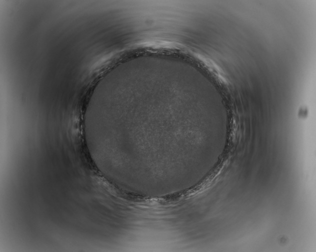 X0000102510966200808221814