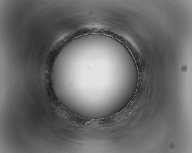 X0000102510967200808221814