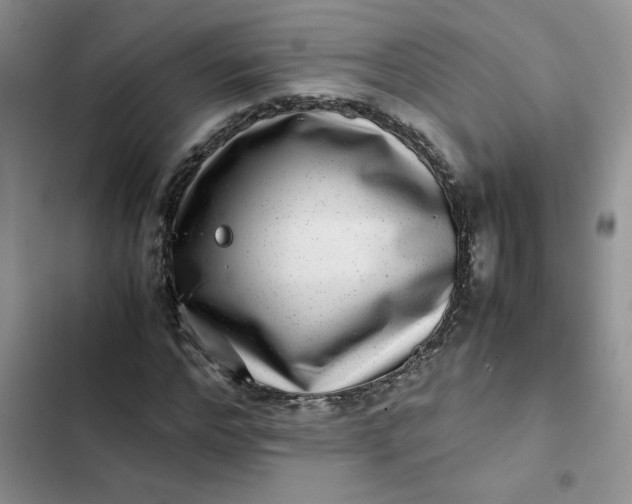 X0000102510968200808221814