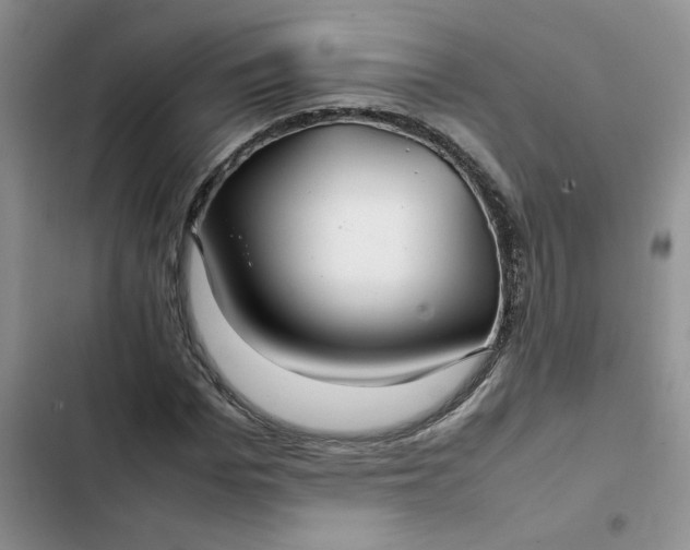 X0000102510969200808221814