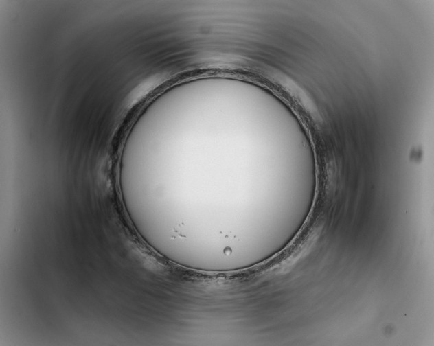 X0000102510970200808221814
