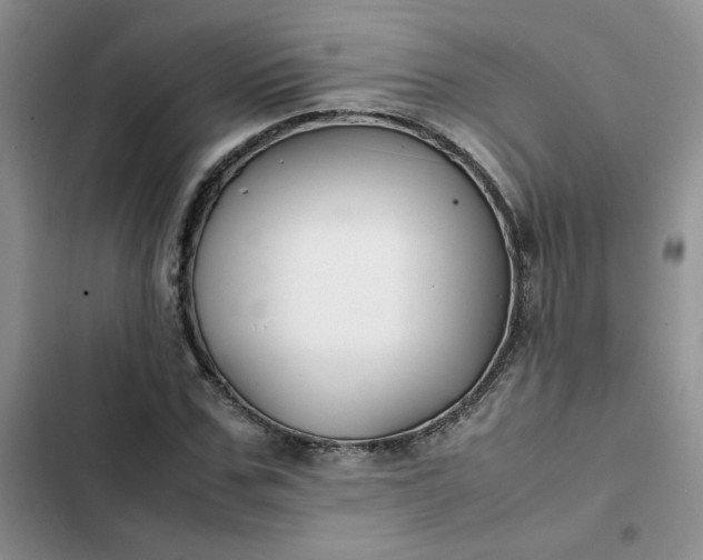 X0000102510971200808221814