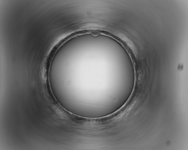 X0000102510973200808221814