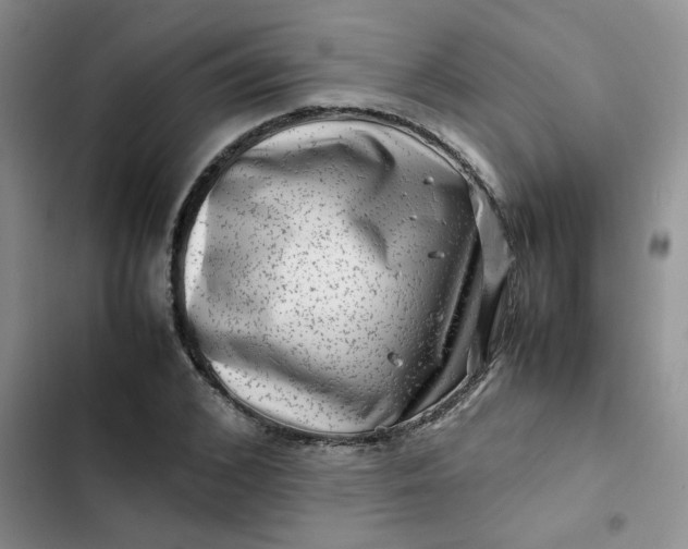 X0000102510976200808221814
