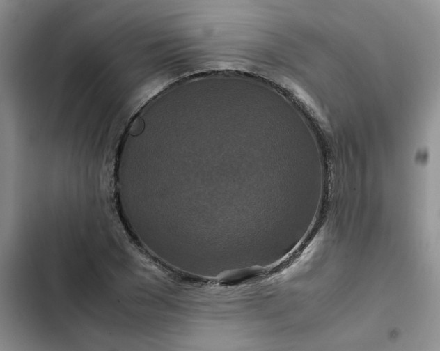 X0000102510977200808221814