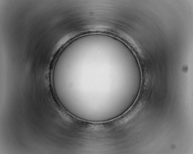 X0000102510978200808221814
