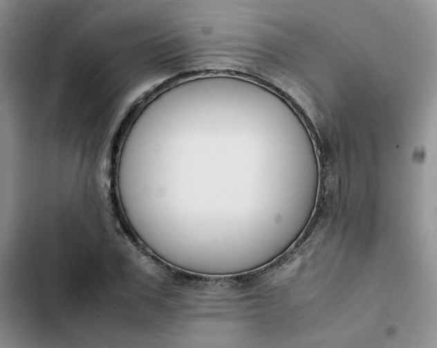X0000102510979200808221814