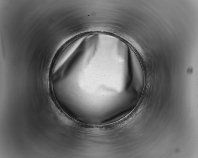 X0000102510980200808221813