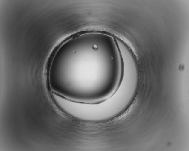 X0000102510981200808221813