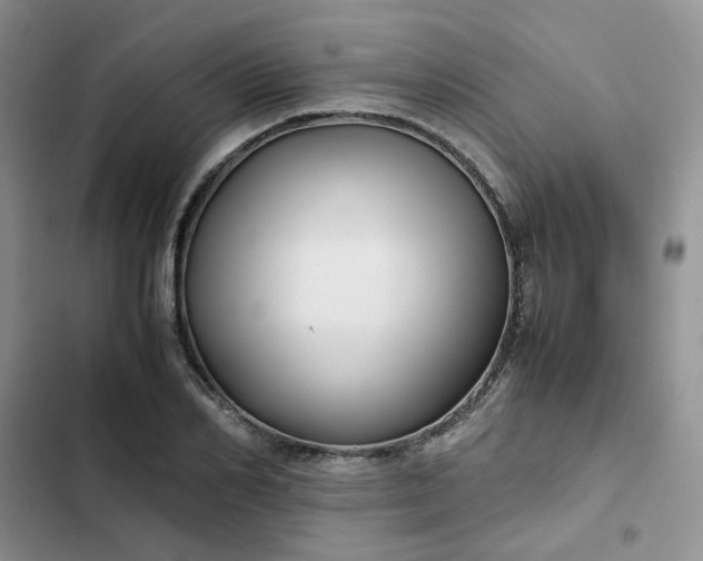 X0000102510982200808221813