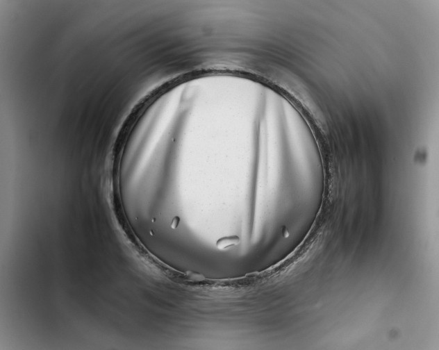 X0000102510984200808221813