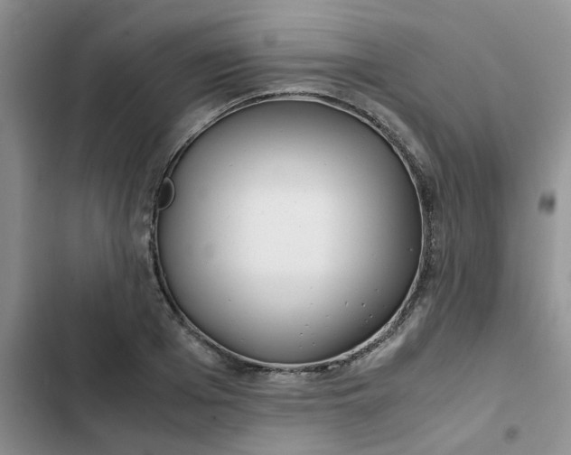X0000102510985200808221813