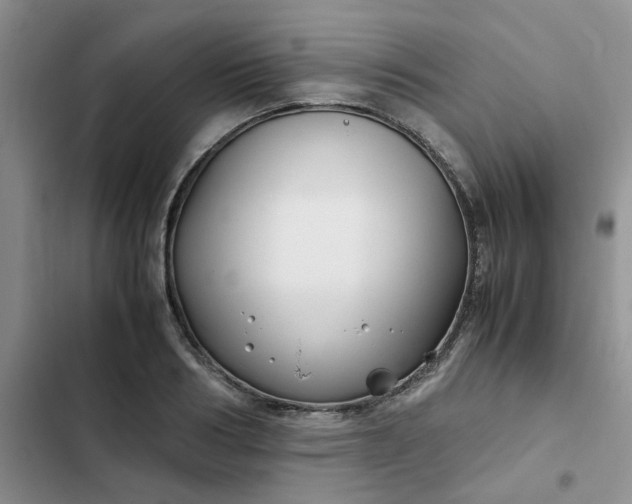 X0000102510986200808221813
