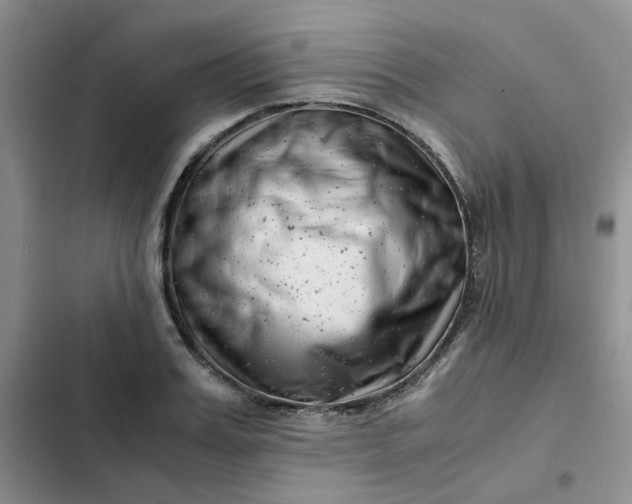 X0000102510987200808221813