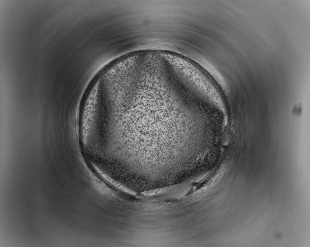 X0000102510988200808221813