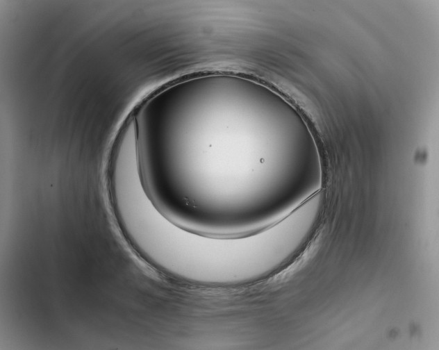 X0000102510989200808221813