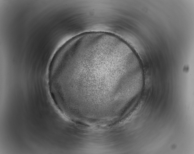 X0000102510990200808221813