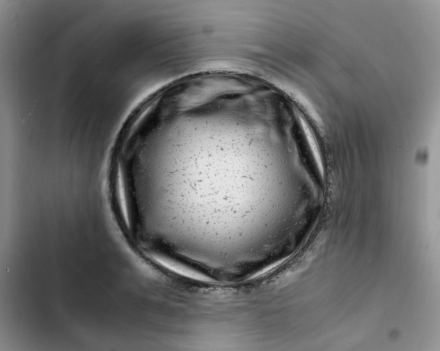 X0000102510991200808221813
