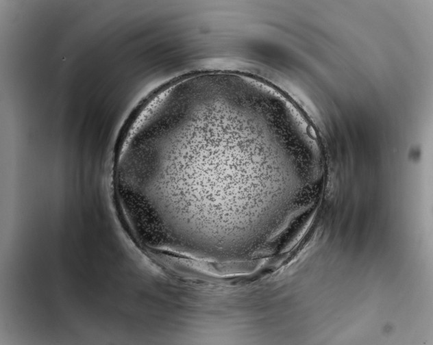 X0000102510992200808221813