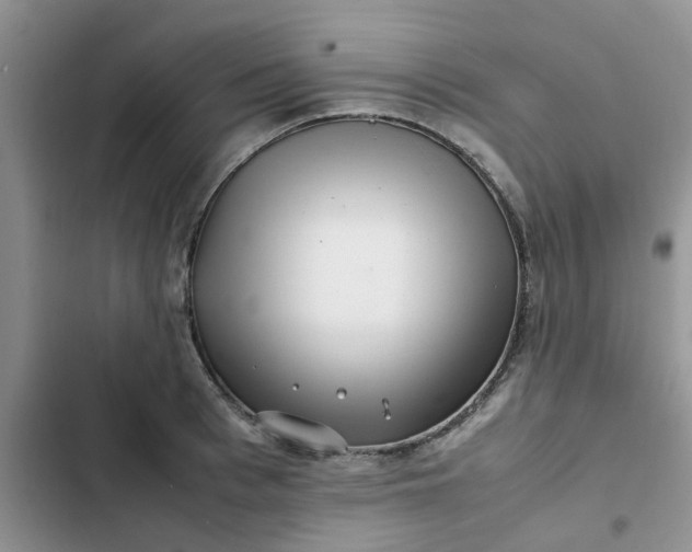 X0000102510993200808221813