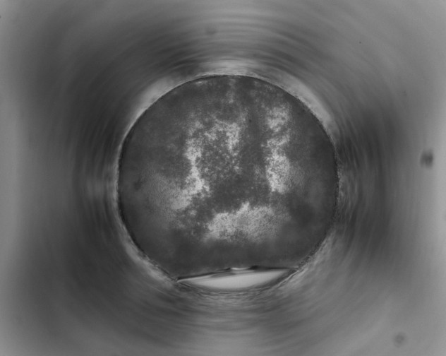 X0000102510994200808221813