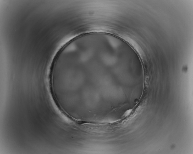 X0000102510995200808221813