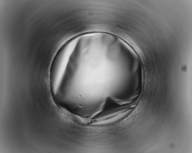 X0000102510996200808221813