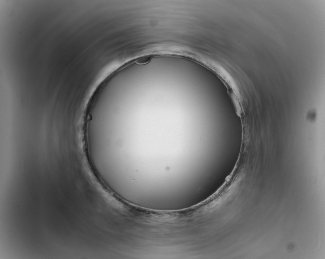 X0000102510997200808221813