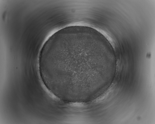 X0000102510998200808221813