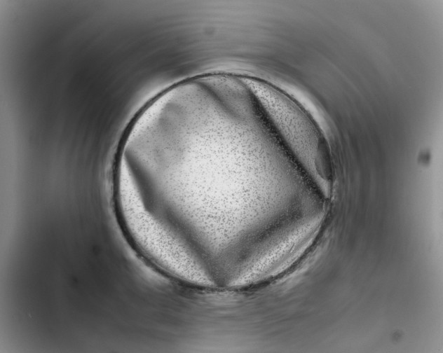 X0000102510999200808221813