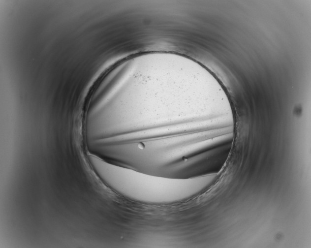 X0000102511000200808221813