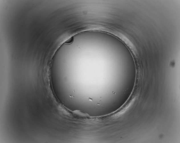 X0000102511001200808221813