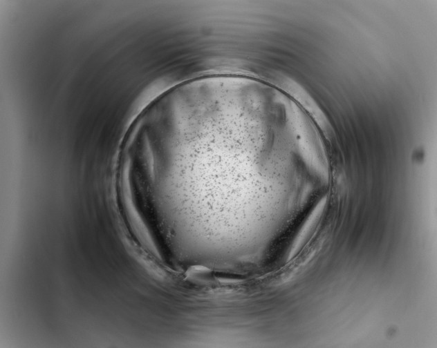 X0000102511002200808221813