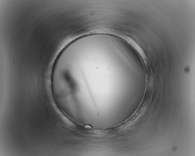 X0000102511005200808221813