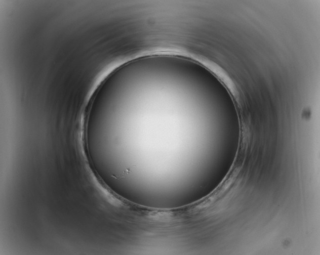 X0000102511006200808221813