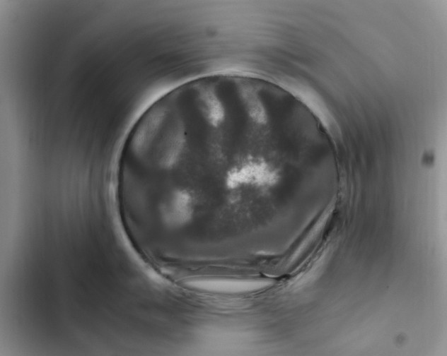 X0000102511007200808221813
