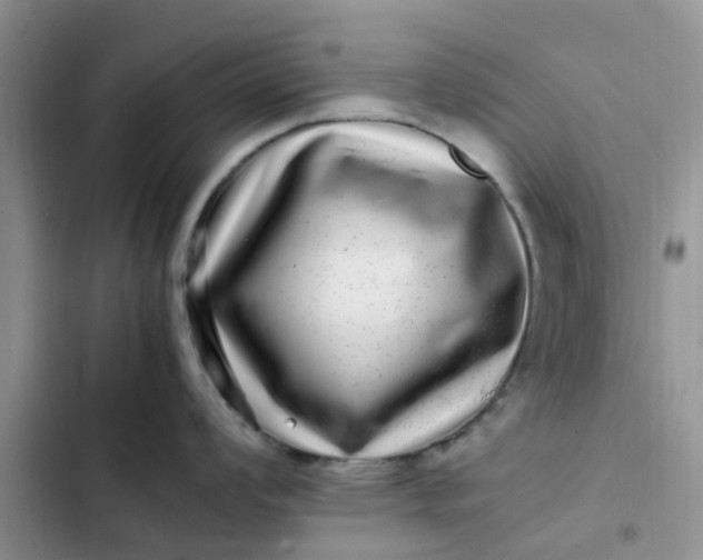 X0000102511008200808221813