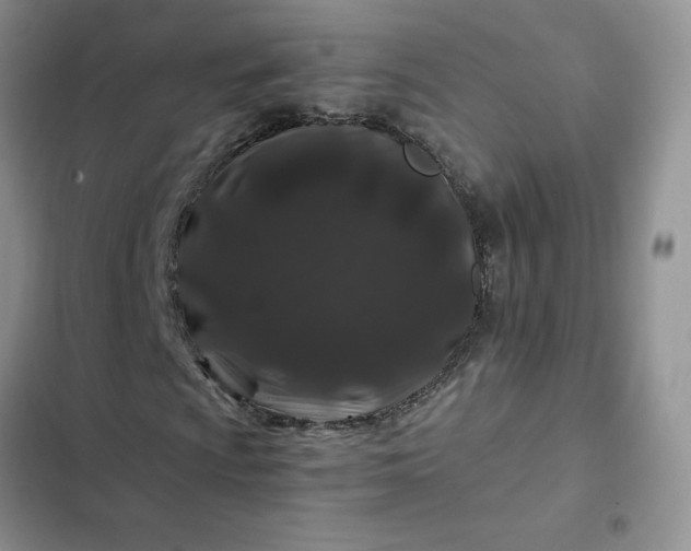 X0000102511009200808221812
