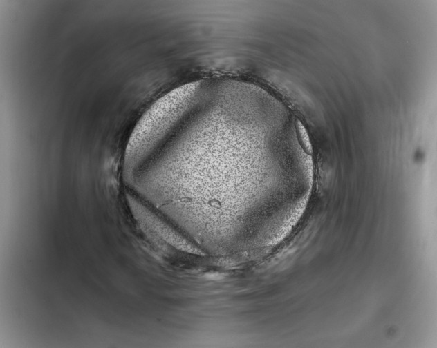X0000102511010200808221812