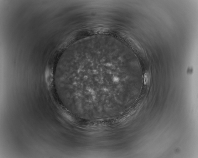 X0000102511011200808221812