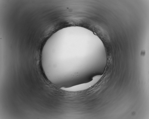 X0000102511012200808221812